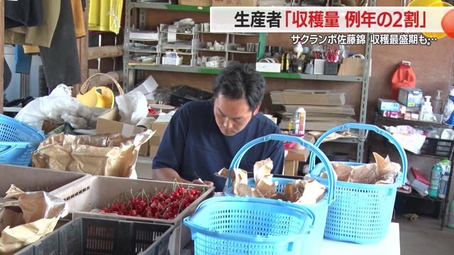 収穫した1粒1粒が貴重