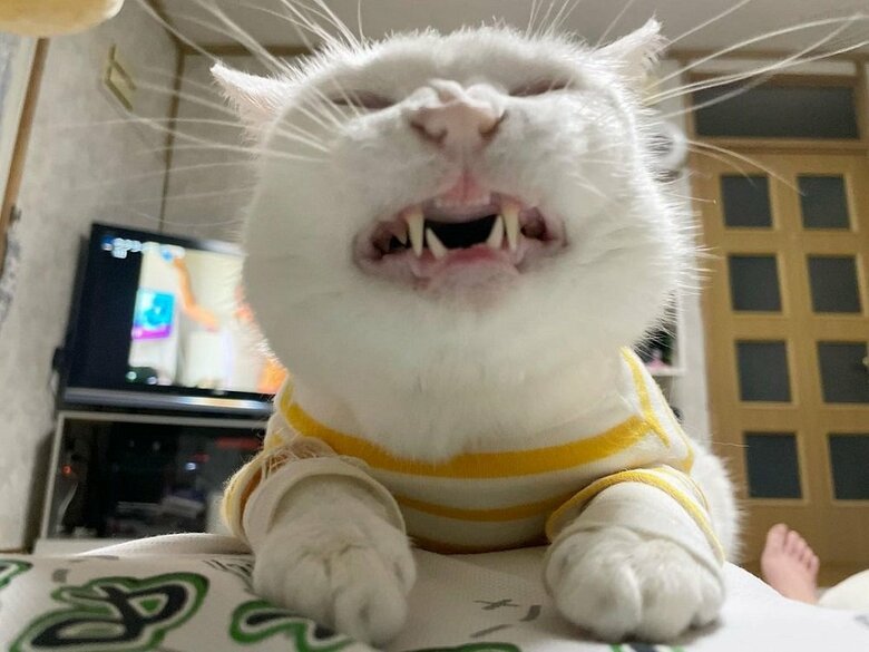 「にゃひひひ」と笑顔