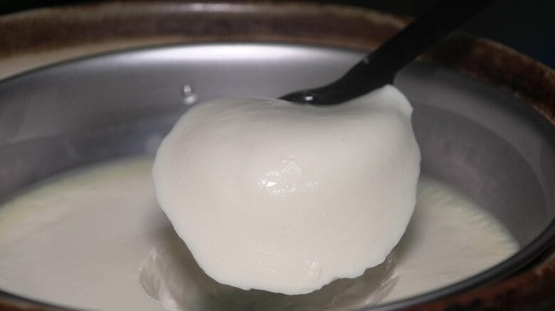 出来たての手作り豆腐