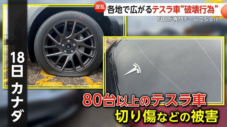 80台以上のテスラ車がタイヤや車体に切り傷などをつけられる被害（18日、カナダの販売店）