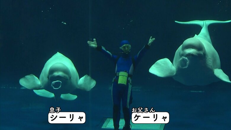 「バブルリング」のパフォーマンスを披露する「シーリャ」（左）と「ケーリャ」（右）