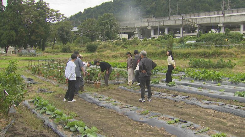 からいすけ本舗の畑