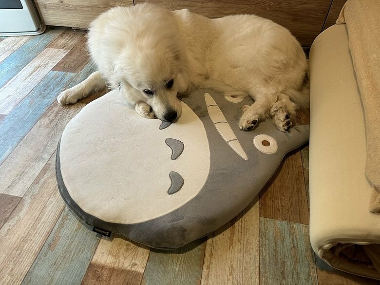 娘さんの寝る場所をきちんと空けている