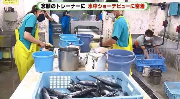 1日100kg以上のエサを準備する