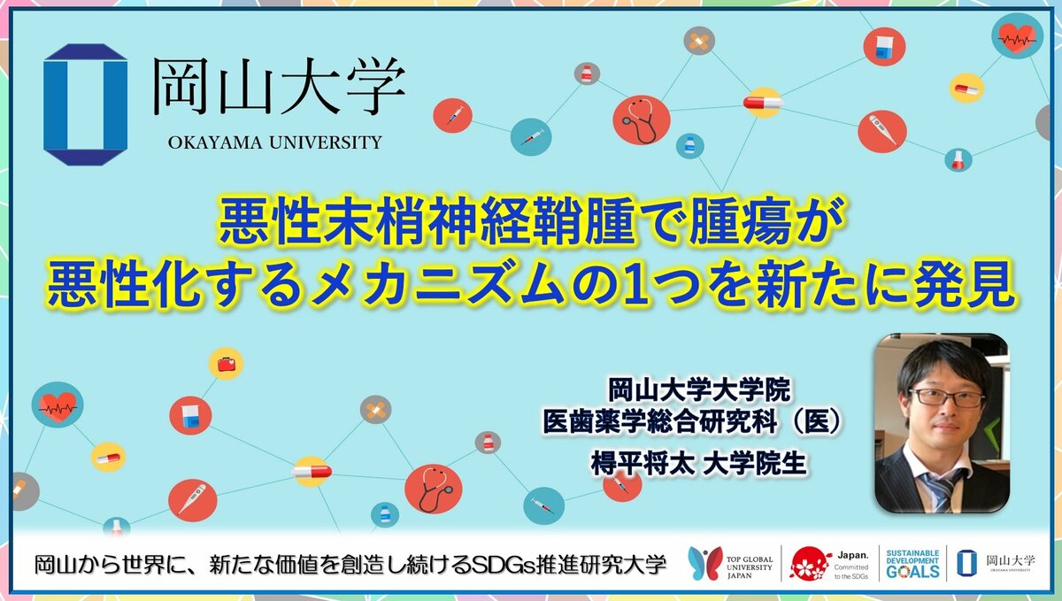 岡山大学】悪性末梢神経鞘腫で腫瘍が悪性化するメカニズムの1つを新た