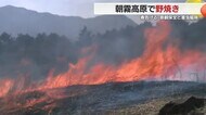 東京ドーム10個分以上！広大な朝霧高原で春を告げる野焼き　静岡…