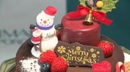 【テーマは「アート」】今年のクリスマスケーキをお披露目！34の有名ブランドが集結、大丸札幌店限定品も『ゴッホやモネの彩り』『聖夜に広がる天の川』などイメージした逸品揃う―ネット予約は10月9日から