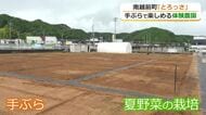 ”道具を持たず”に気軽に野菜作り体験　北陸道・南条SA横に体験農園がオープン　専門家の栽培アドバイスも　福井・南越前町