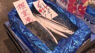 【サンマ漁が本格化】水揚げ日本一の花咲港に続々と大型船が 活気づく港…札幌市で1匹4000円「その価値はある」根室市では380円「いいサンマ」…不漁の予測もあったが今後の価格どうなる