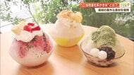 高知の進化系かき氷は「薬味」が主役！？大葉やさんしょうを使ったスイーツをOMO7高知が提供