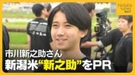 八代目・市川新之助さんが県のブランド米『新之助』PR！開発経緯に驚きも「新之助はすごい」