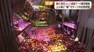 元床屋施設に入ると圧倒！華やかな光あふれる“蜷川ワールド”全開　松山「道後アート」最新作登場【愛媛】