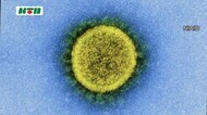 【速報】新型コロナ 長崎県内で新たに8人の感染発表