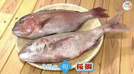 【瀬戸内旬紀行】サクラが咲く頃が旬「桜鯛」と岡山では呼び名が違う！？「アカニシ」鮮魚のプロがおススメ料理と選び方は【岡山・香川発】