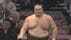 朝乃山が11勝目、十両優勝争いトップの藤凌駕を破る！23日の千秋楽で…
