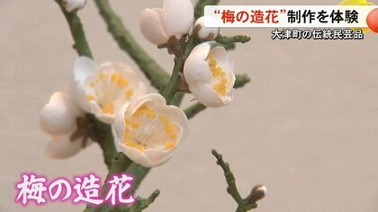 大津町の伝統民芸品『梅の造花』制作を体験【熊本】