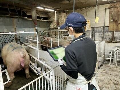 NEC通信システム、養豚業でのDX化とアニマルウェルフェア対応の実証実験を開始。トライアル農家募集
