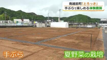 ”道具を持たず”に気軽に野菜作り体験　北陸道・南条SA横に体験農園がオープン　専門家の栽培アドバイスも　福井・南越前町