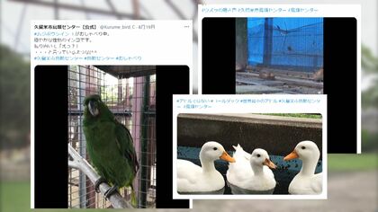 フラミンゴとトラの赤ちゃん＆芸達者なスナメリ　休園続く動物園・水族館がSNSで届ける動物たちの珍しい姿【福岡・山口発】