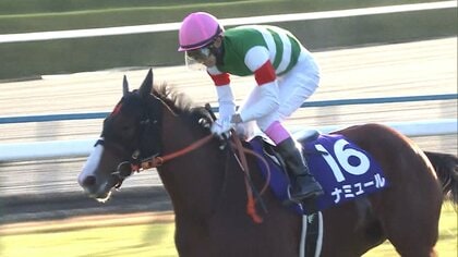 【マイルチャンピオンシップ・GⅠ】秋のマイル王決定戦！ラストラン迎える欧州最強マイラーvs強力日本馬