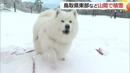 犬は喜び“ゲレンデ”駆け回る…今季最強寒波で大山も一面銀世界　「恵みの雪」歓迎スキーシーズンに備え