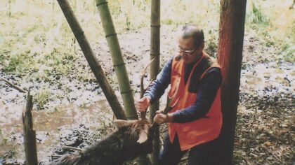 「町の厄介者」が最高の食材に　シカ被害に悩む町の凄腕ハンター　 絶品ジビエに変える“特殊な技術”【三重発】