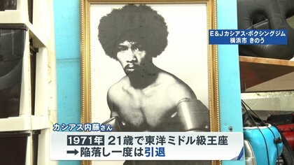 アリスチャンピオンモデル(01)