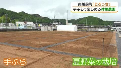 ”道具を持たず”に気軽に野菜作り体験　北陸道・南条SA横に体験農園がオープン　専門家の栽培アドバイスも　福井・南越前町