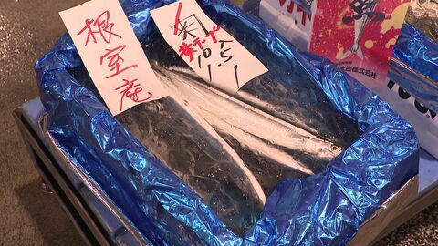 【サンマ漁が本格化】水揚げ日本一の花咲港に続々と大型船が 活気づく港…札幌市で1匹4000円「その価値はある」根室市では380円「いいサンマ」…不漁の予測もあったが今後の価格どうなる