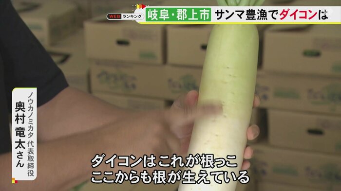 ニュースONE