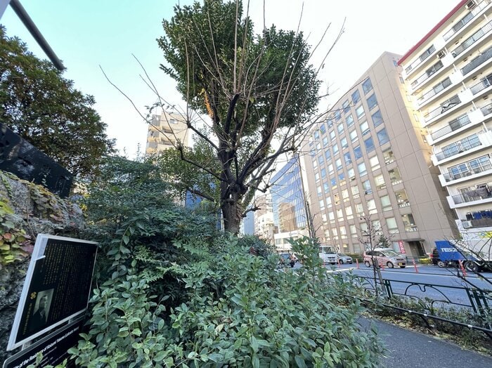 明治29年（1896）に転居した東京・新宿区富久町の旧居跡