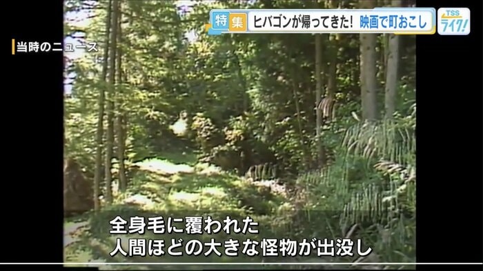 目撃情報があった場所を映す当時のニュース
