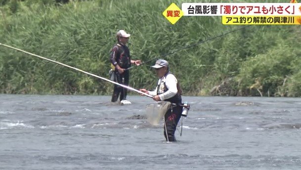 興津川(静岡市清水区)でアユ釣り
