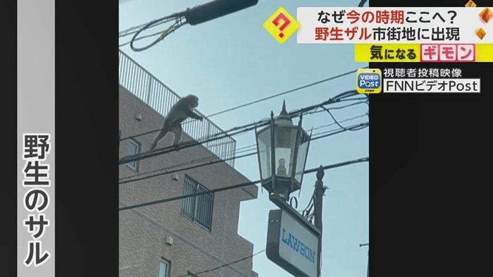 両手両足を器用に使って…