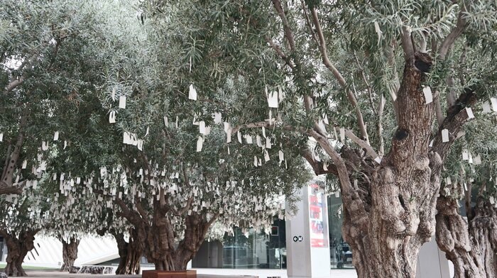 Wish Tree