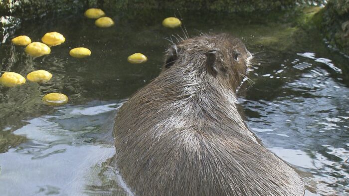 2時間ほど長湯していた