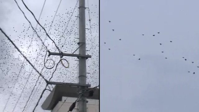 左 2020年9月 右 2025年8月26日
