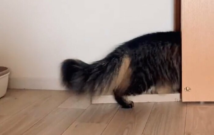 退散!