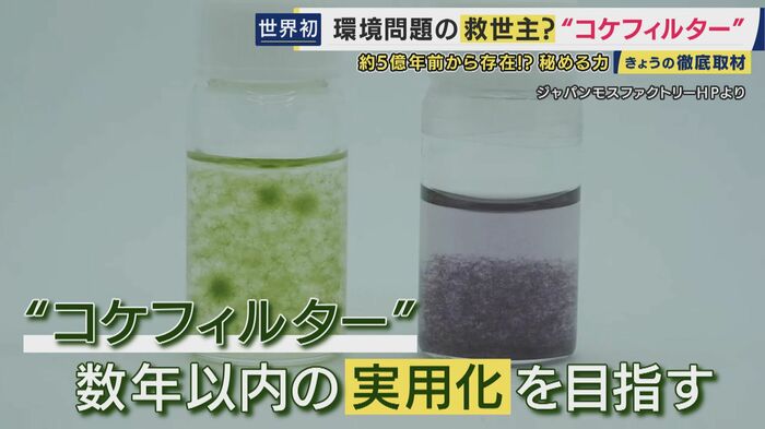 コケフィルター