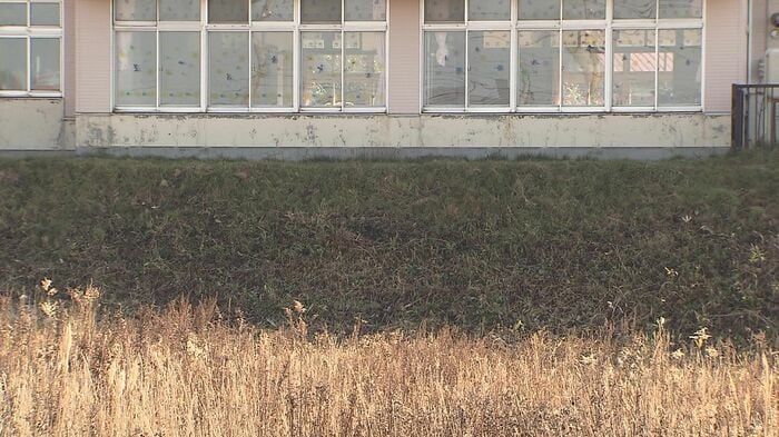 クマ対策で草刈りが行われた場所