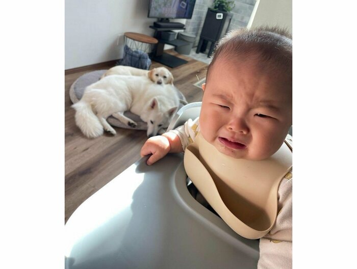提供:つくしとすずらんさん