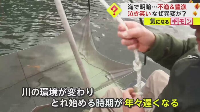イサザの水揚げはゼロだった