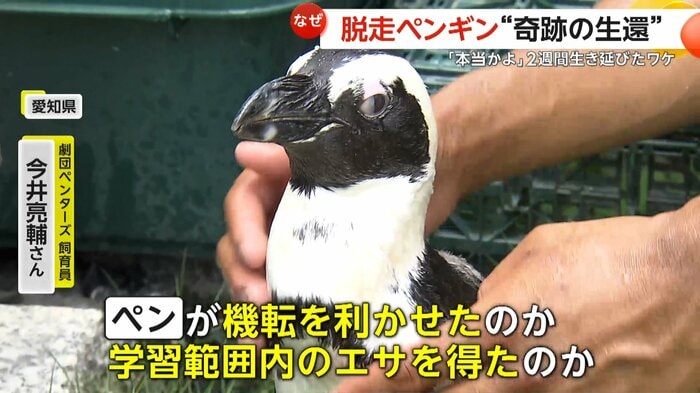 “温室育ち”の「ペン」