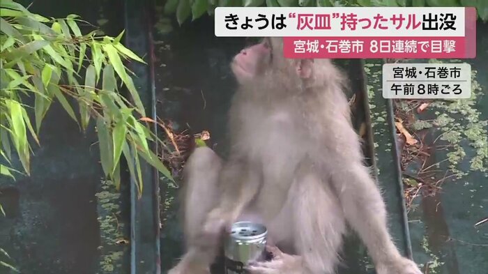 器用に足で缶を支え、手でポンポンと叩いている