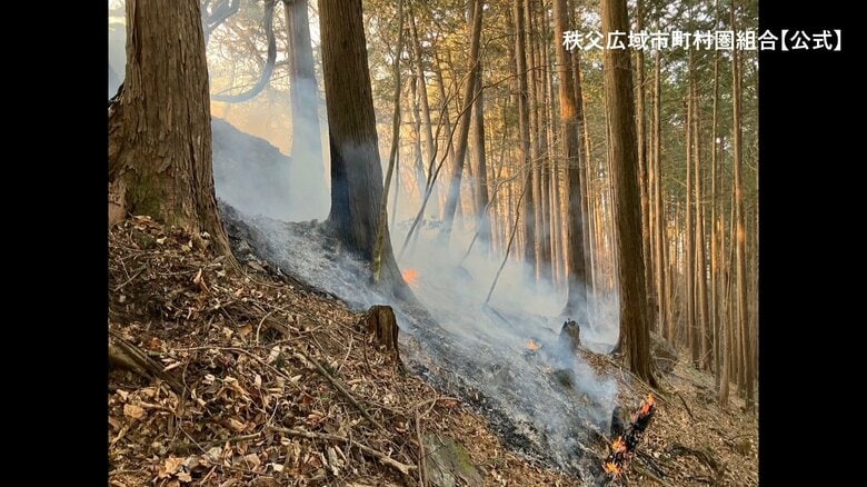 埼玉・秩父市の山林火災　発生10日目で再び「鎮圧」｜FNNプライムオンライン