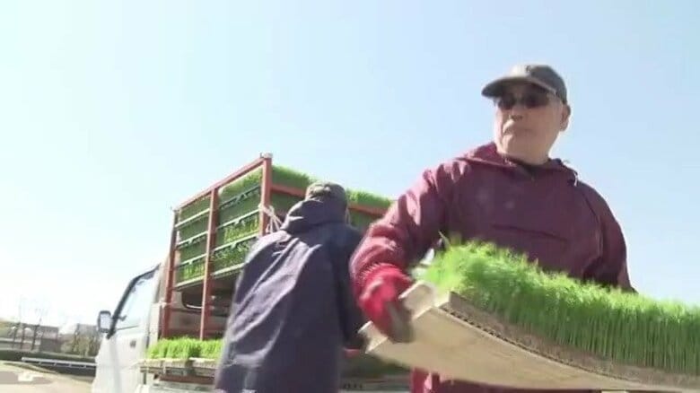 下落を続けるコメ価格 生産コストは上昇の一途 JA福井県会長「消費者も生産者も納得できるのは5キロ3400円あたり」 |FNNプライムオンライン