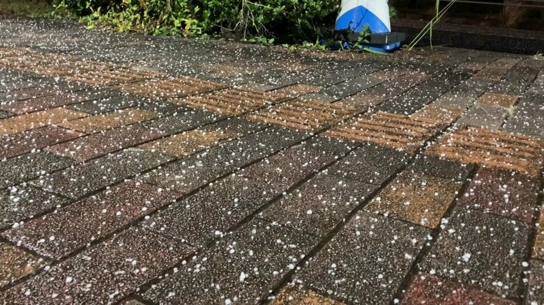 佐世保では「あられ」対馬・鰐浦で最大瞬間風速26.2ｍ　引き続き大気の状態が不安定で暴風に警戒【長崎発】｜FNNプライムオンライン