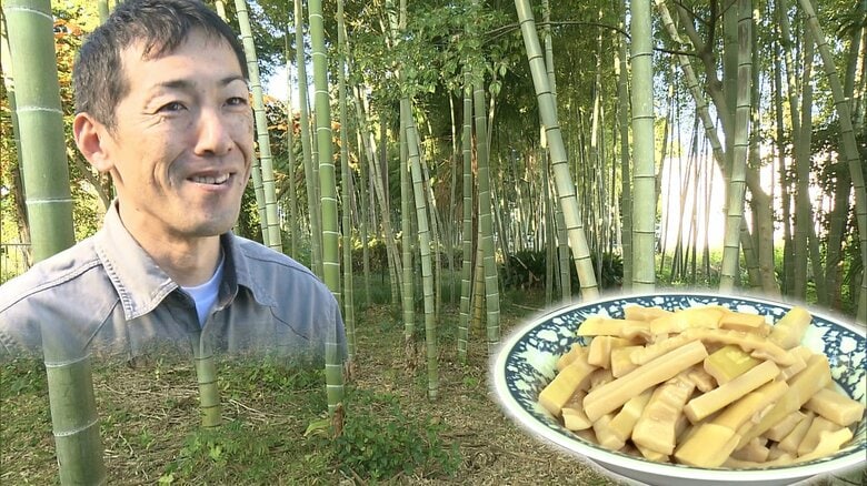 社会問題化する放置竹林 土砂災害を防ぐカギは”メンマ”にあり? 「おいしく食べて竹林整備」をモットーに|FNNプライムオンライン