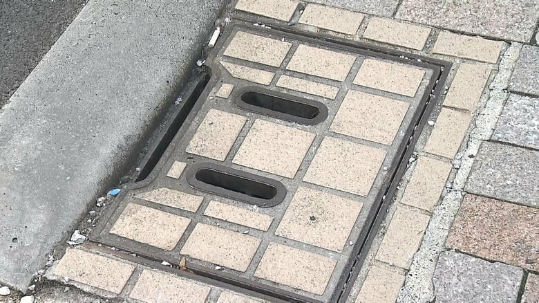 雨水が下水道に流れ込み切らなかったのが原因か…記録的大雨で冠水「戸越銀座」　専門家「雨水取り込み口の小ささ」を指摘｜FNNプライムオンライン