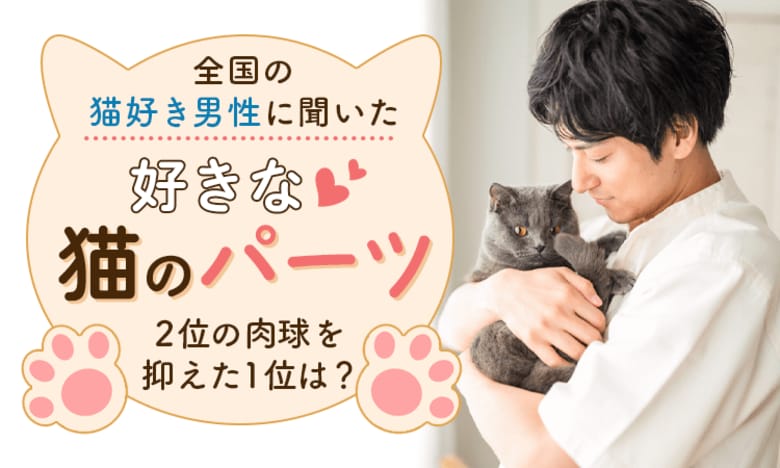 全国の猫好き男性に聞いた「好きな猫のパーツ」2位の肉球を抑えた1位は?